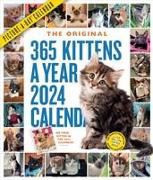 365 Kittens-A-Year Picture-A-Day Wall Calendar 2024