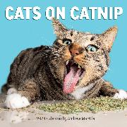 Cats on Catnip Wall Calendar 2024