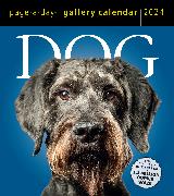 Dog Page-A-Day Gallery Calendar 2024