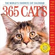 365 Cats Page-A-Day Calendar 2024