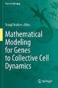 Mathematical Modeling for Genes to Collective Cell Dynamics