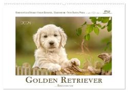 Golden Retriever... Herzenshunde (Wandkalender 2024 DIN A2 quer), CALVENDO Monatskalender