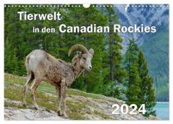 Tierwelt in den Canadian Rockies (Wandkalender 2024 DIN A3 quer), CALVENDO Monatskalender