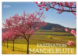 FASZINATION MANDELBLÜTE (Wandkalender 2024 DIN A3 quer), CALVENDO Monatskalender