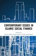 Contemporary Issues in Islamic Social Finance