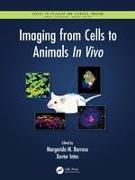 Imaging from Cells to Animals In Vivo