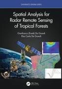 Spatial Analysis for Radar Remote Sensing of Tropical Forests