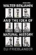 Walter Benjamin and the Idea of Natural History