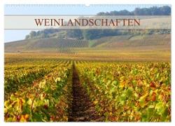 Weinlandschaften (Wandkalender 2024 DIN A2 quer), CALVENDO Monatskalender