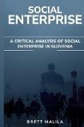 A Critical Analysis of Social Enterprise in Slovenia