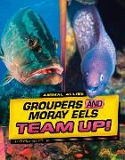 Groupers and Moray Eels Team Up!