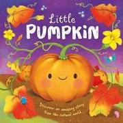 Nature Stories: Little Pumpkin: Padded Board Book