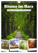 Bäume im Harz (Wandkalender 2024 DIN A4 hoch), CALVENDO Monatskalender
