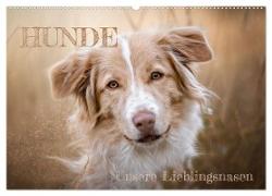 Hunde - Unsere Lieblingsnasen (Wandkalender 2024 DIN A2 quer), CALVENDO Monatskalender