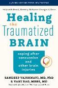 Healing the Traumatized Brain: Coping After Concussion and Other Brain Injuries
