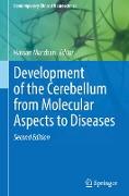 Development of the Cerebellum from Molecular Aspects to Diseases