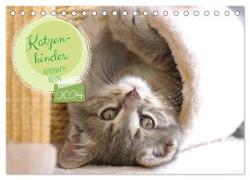 Katzenkinder - zauberhafte Wesen (Tischkalender 2024 DIN A5 quer), CALVENDO Monatskalender