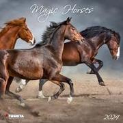 Magic Horses 2024