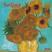 van Gogh - From Vincent's Garden 2024