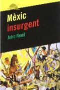 Mèxic insurgent