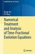 Numerical Treatment and Analysis of Time-Fractional Evolution Equations