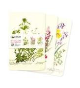 Royal Botanic Garden Edinburgh Set of 3 Mini Notebooks