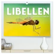 Libellen - Farbenfrohe Insekten (hochwertiger Premium Wandkalender 2024 DIN A2 quer), Kunstdruck in Hochglanz