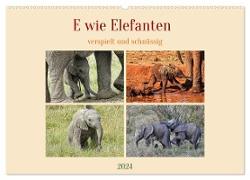 E wie Elefanten - verspielt und schnüssig (Wandkalender 2024 DIN A2 quer), CALVENDO Monatskalender