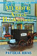 Murder of an Amish Bridegroom