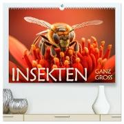 Insekten ganz gross (hochwertiger Premium Wandkalender 2024 DIN A2 quer), Kunstdruck in Hochglanz
