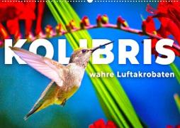 Kolibris - wahre Luftakrobaten (Wandkalender 2024 DIN A2 quer), CALVENDO Monatskalender