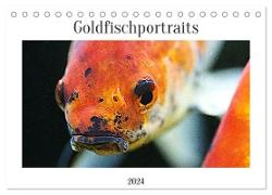 Goldfischportraits (Tischkalender 2024 DIN A5 quer), CALVENDO Monatskalender