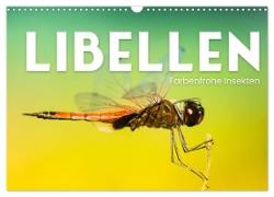 Libellen - Farbenfrohe Insekten (Wandkalender 2024 DIN A3 quer), CALVENDO Monatskalender