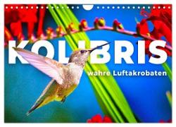 Kolibris - wahre Luftakrobaten (Wandkalender 2024 DIN A4 quer), CALVENDO Monatskalender