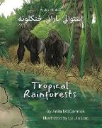 Tropical Rainforests (Pashto-English)