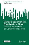 Strategic Opportunism: What Works in Africa