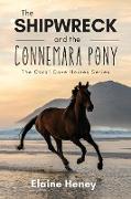 The Shipwreck and the Connemara Pony - The Coral Cove Horses Series