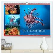 Rot Feuer Fisch (hochwertiger Premium Wandkalender 2024 DIN A2 quer), Kunstdruck in Hochglanz