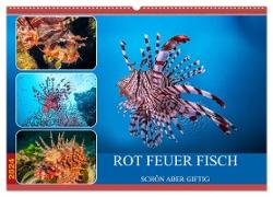 Rot Feuer Fisch (Wandkalender 2024 DIN A2 quer), CALVENDO Monatskalender
