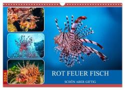 Rot Feuer Fisch (Wandkalender 2024 DIN A3 quer), CALVENDO Monatskalender
