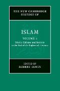 The New Cambridge History of Islam