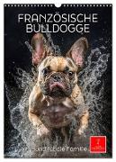 Französische Bulldogge - ein Hund für die Familie (Wandkalender 2024 DIN A3 hoch), CALVENDO Monatskalender