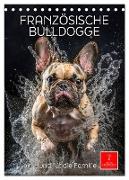 Französische Bulldogge - ein Hund für die Familie (Tischkalender 2024 DIN A5 hoch), CALVENDO Monatskalender