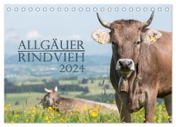 Allgäuer Rindvieh 2024 (Tischkalender 2024 DIN A5 quer), CALVENDO Monatskalender