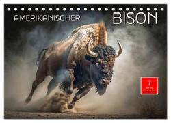 Amerikanischer Bison (Tischkalender 2024 DIN A5 quer), CALVENDO Monatskalender