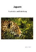 Jaguare - Faszination und Bedrohung