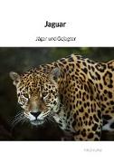 Jaguar - Jäger und Gejagter