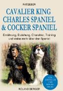 Cavalier King Charles Spaniel & Cocker Spaniel