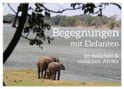 begegnungen - elefanten im südlichen afrika (Wandkalender 2024 DIN A2 quer), CALVENDO Monatskalender