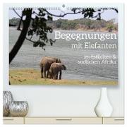 begegnungen - elefanten im südlichen afrika (hochwertiger Premium Wandkalender 2024 DIN A2 quer), Kunstdruck in Hochglanz